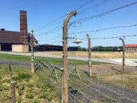 Buchenwald 2019 01