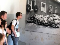 Buchenwald 2019 04